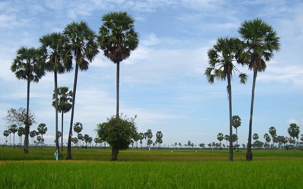 Cambodja rondreizen