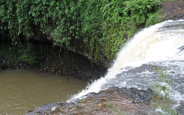 Ban Lung Ratanakiri jungle in Cambodja