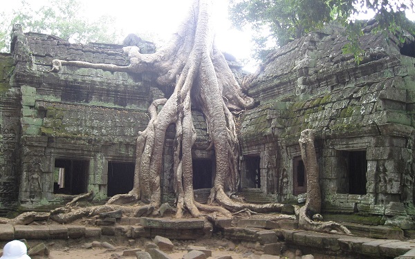 Cambodja tempels van Angkor Wat bij Siem Reap