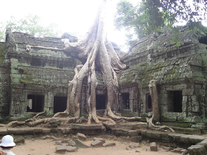 Ta Prohm tempel