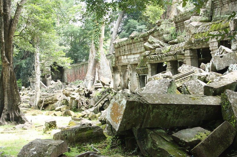 Het Angkor rijk in Cambodja,Ta Prohm jungle tempel