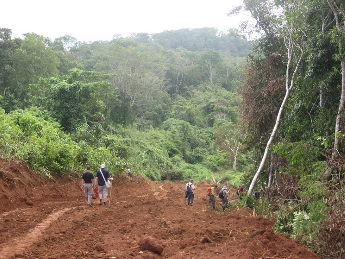 De jungle van Ratanakiri